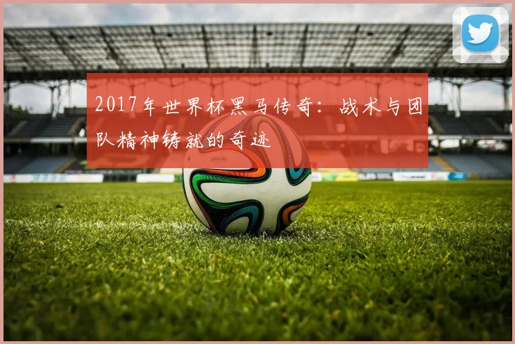 2017年世界杯黑马传奇：战术与团队精神铸就的奇迹