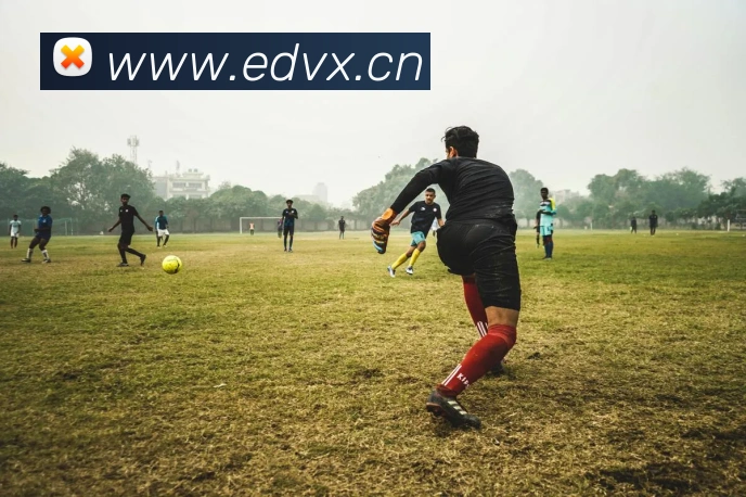 leyu乐鱼官方官网平台生态图